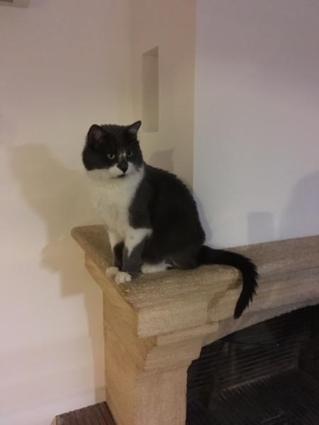 Minet