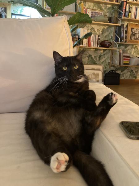 Nala