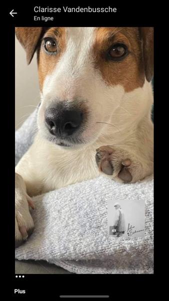 Oscar