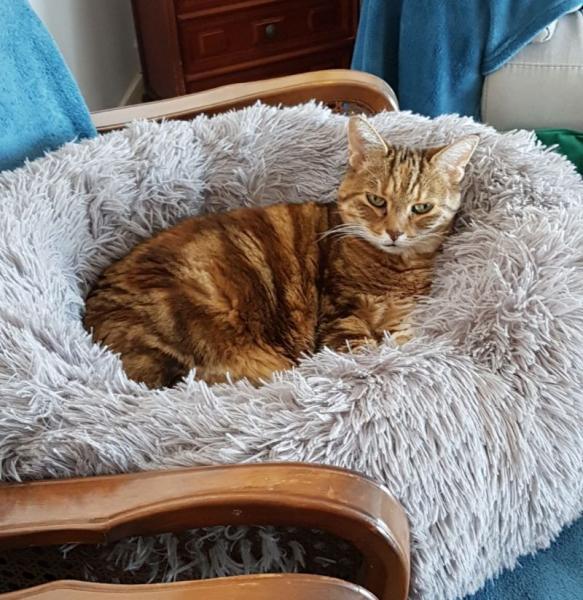 MImi