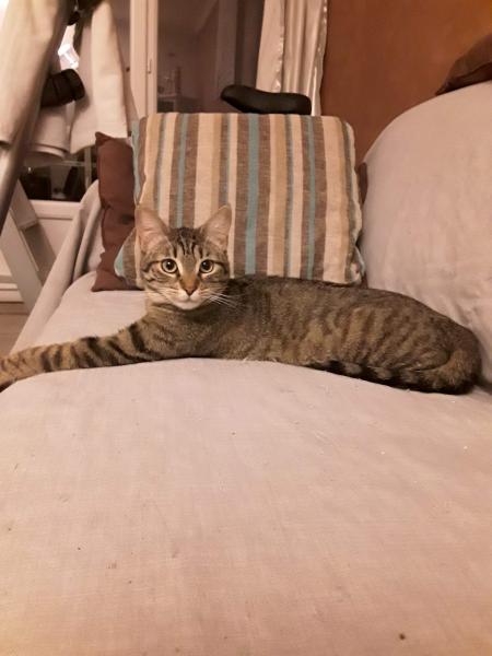 Margot