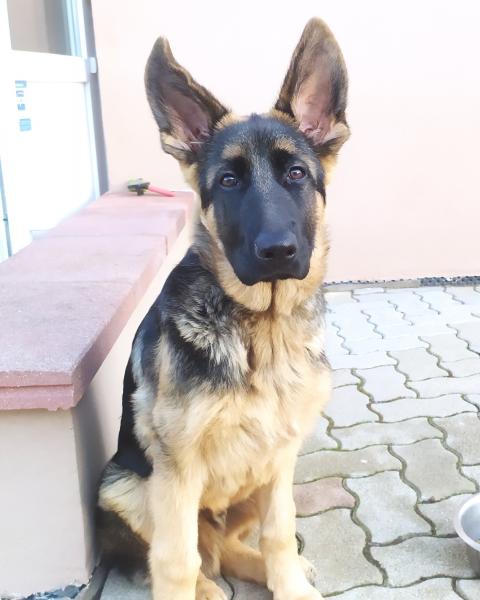 Rio