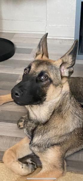 Max