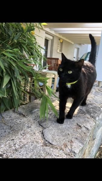 Zora
