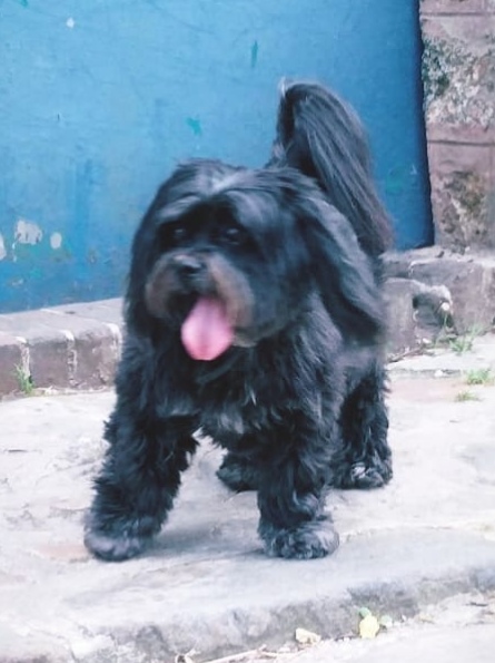 Diabolo