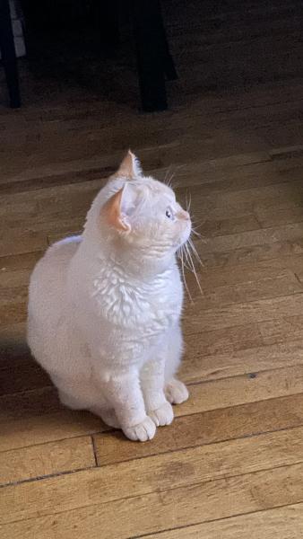 CARAMEL