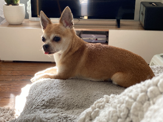 Chloé