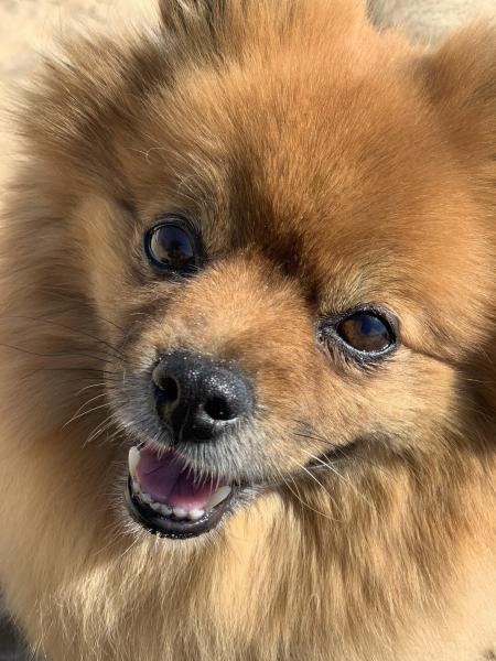 Bella