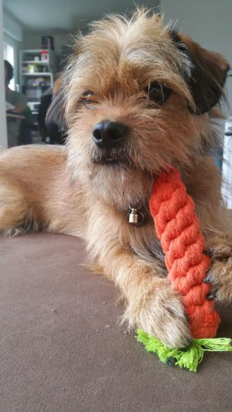 Marley