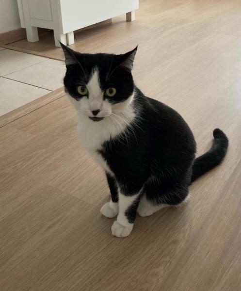 Pixel