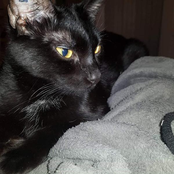 Marley