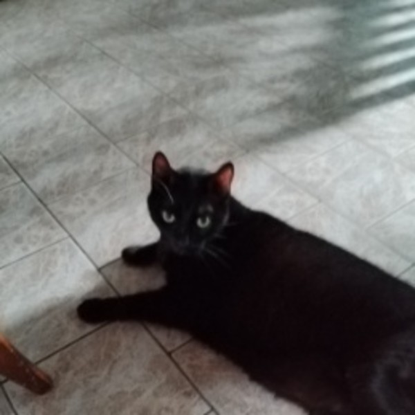 Enrique