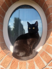 Samhain