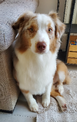 Tallie