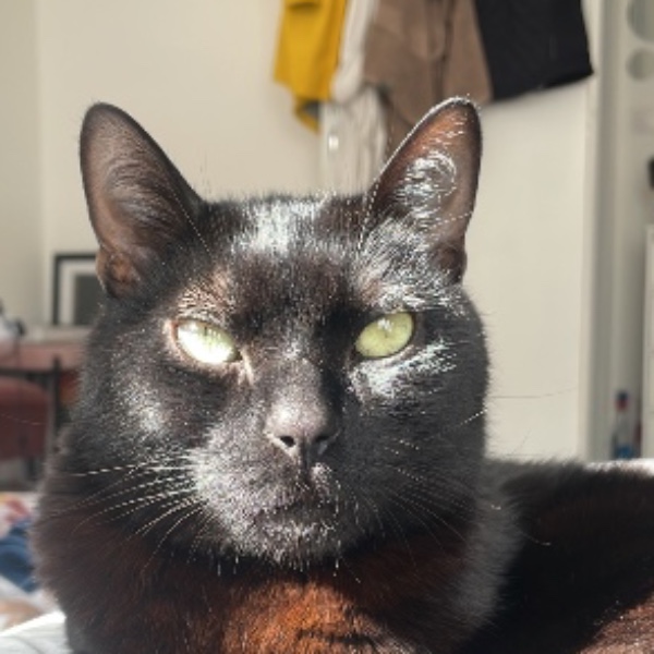 Ambroise