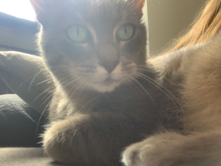 Indra
