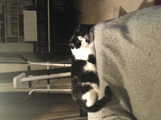 Charlie