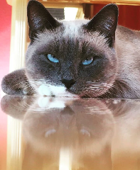 Nina