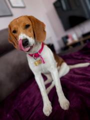 Molly