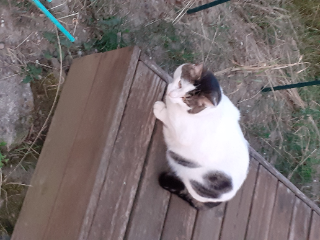 bounty