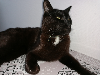 CACHOU