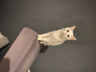 Louky