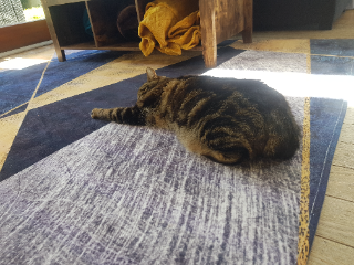 Baguette
