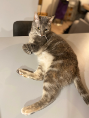 Lilou