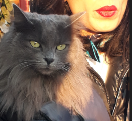 Princesse