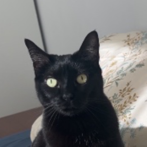 Frida
