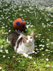 Max