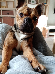 Max