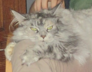 Lola