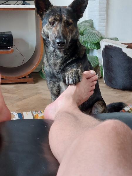 Igor
