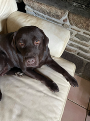 Milka