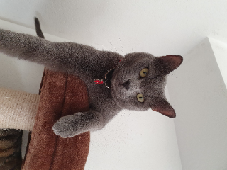 Pablo