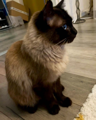Diego
