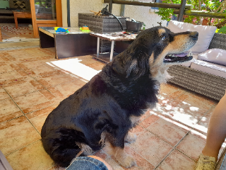 Mana
