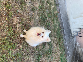 Charlie