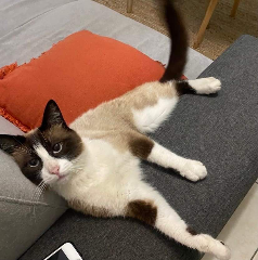Mia