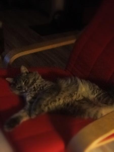 Lilou