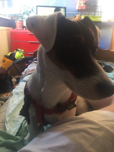 Max