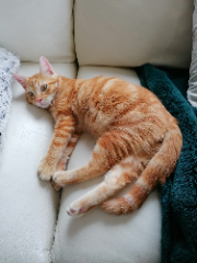 Caramel