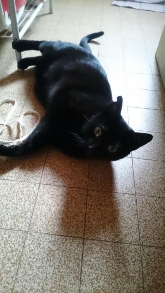 Sofie