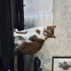 NEWTON