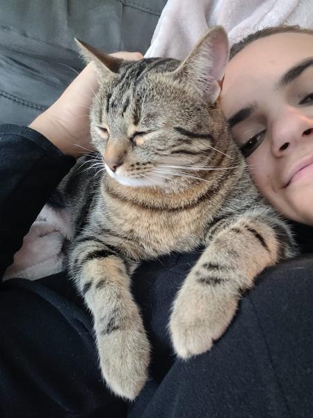 Nala