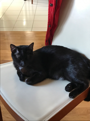 Titou