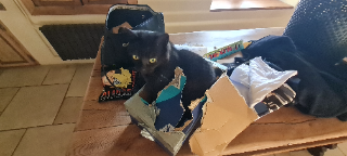 Mimi