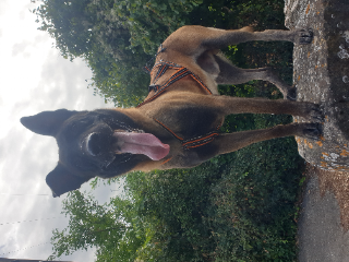 Nex