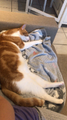 Pif